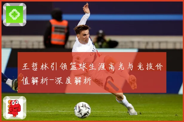 王哲林引领篮球生涯高光与竞技价值解析-深度解析
