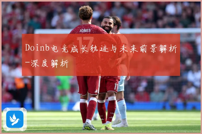 Doinb电竞成长轨迹与未来前景解析-深度解析