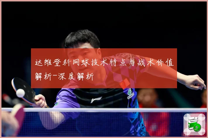 达维登科网球技术特点与战术价值解析-深度解析